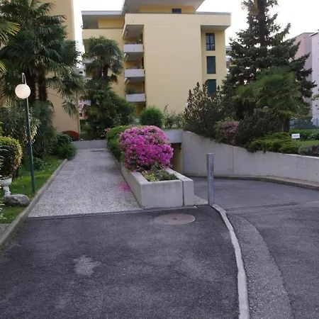 Robinia In *